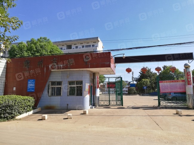 1652343939915546.jpg 7433151f366f1864c772859b9864d451269bd455.jpg