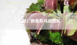 开跑！跟着苏马游姑苏