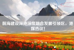 前海建设深港深度融合发展引领区，港媒热议！