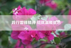 践行雷锋精神 绘就温暖底色