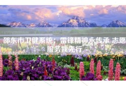 邵东市卫健系统：雷锋精神永传承 志愿服务我先行