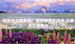 邵东市卫健系统：雷锋精神永传承 志愿服务我先行