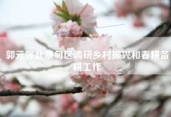 郭元强赴蔡甸区调研乡村振兴和春耕备耕工作