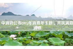 中消协公布2025年消费年主题：共筑满意消费