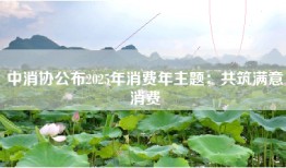 中消协公布2025年消费年主题：共筑满意消费
