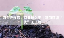 两会连连看，河北这么干︱营商环境“优”无止境