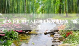 武乡下北漳村活化利用焕发古村落“新生”