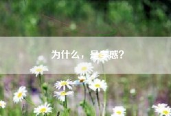 为什么，是孝感？