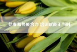 冬春蓄势聚合力 培训赋能正当时
