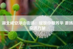 湖北咸安浮山街道：绽放巾帼芳华 激扬奋进力量