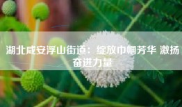 湖北咸安浮山街道：绽放巾帼芳华 激扬奋进力量