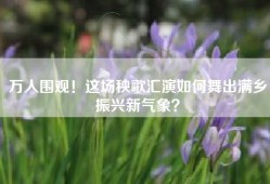 万人围观！这场秧歌汇演如何舞出满乡振兴新气象？