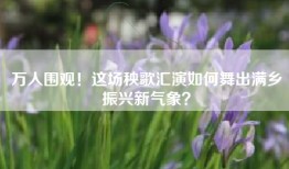 万人围观！这场秧歌汇演如何舞出满乡振兴新气象？
