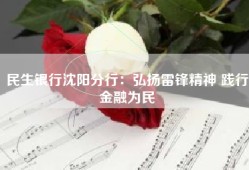 民生银行沈阳分行：弘扬雷锋精神 践行金融为民