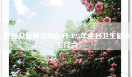 陇县卫健局党组召开2025年全县卫生健康工作会