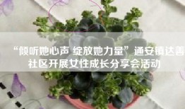 “倾听她心声 绽放她力量”通安镇达善社区开展女性成长分享会活动