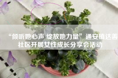 “倾听她心声 绽放她力量”通安镇达善社区开展女性成长分享会活动