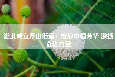 湖北咸安浮山街道：绽放巾帼芳华 激扬奋进力量