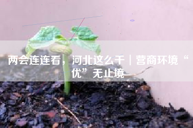 两会连连看，河北这么干︱营商环境“优”无止境